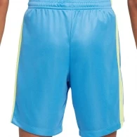Шорты Nike K NK DF TRPHY23 SHORT GX thumbnav 4